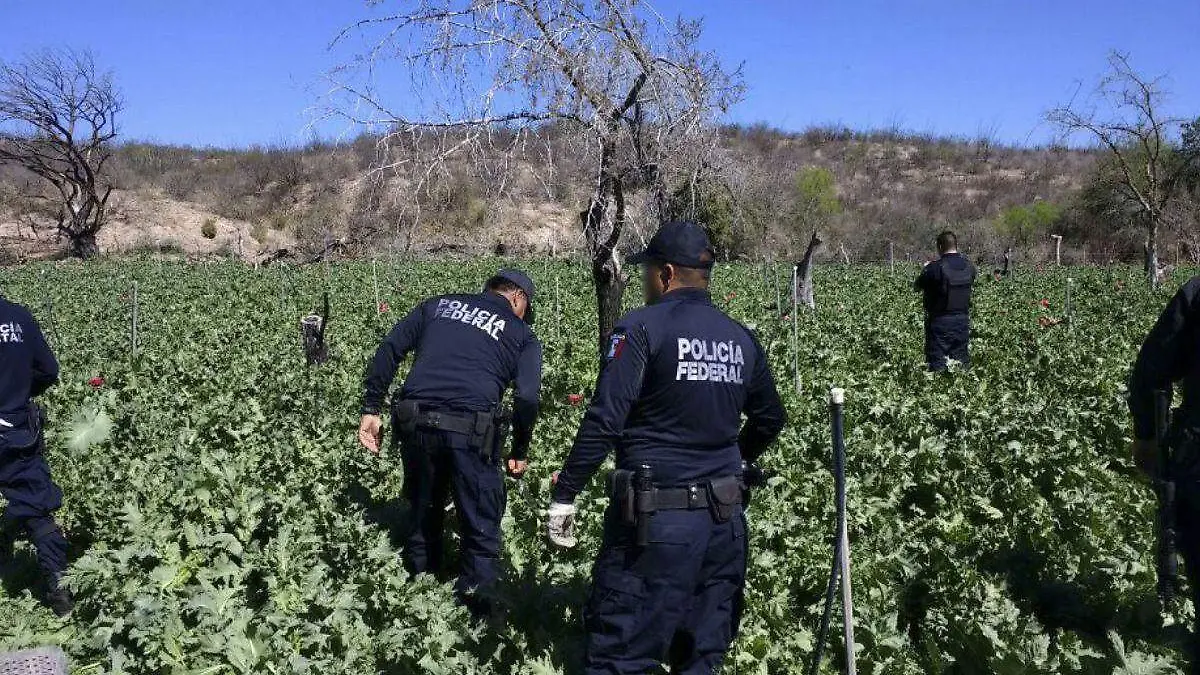 EU alertó por trabajo infantil